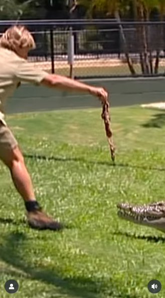 Steve Irwin dangling a piece of meat in front of a crocodile, posted on November 10, 2025. | Source: Instagram/robertirwinphotography