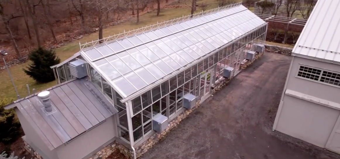 An aerial view of Martha Stewart's greenhouse at her New York home. | Source: Instagram/marthastewart48