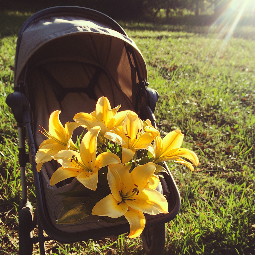 A stroller with yellow lilies | Source: Midjourney