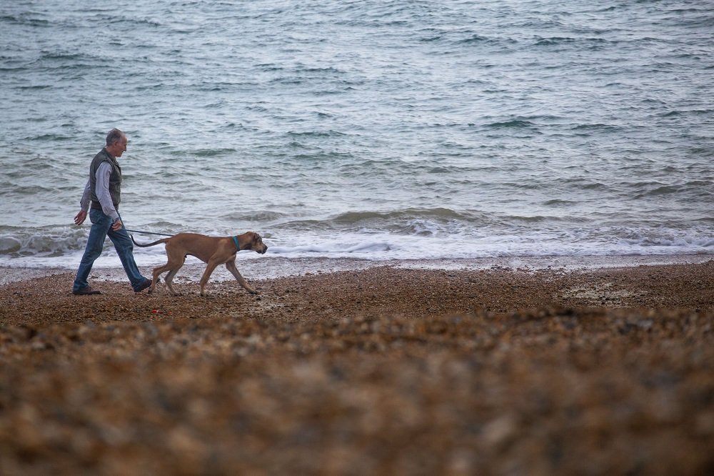 Hombre caminando con perro en la playa. | Imagen: Pexels