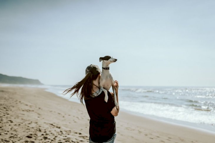 Photo by Chewy on Unsplash