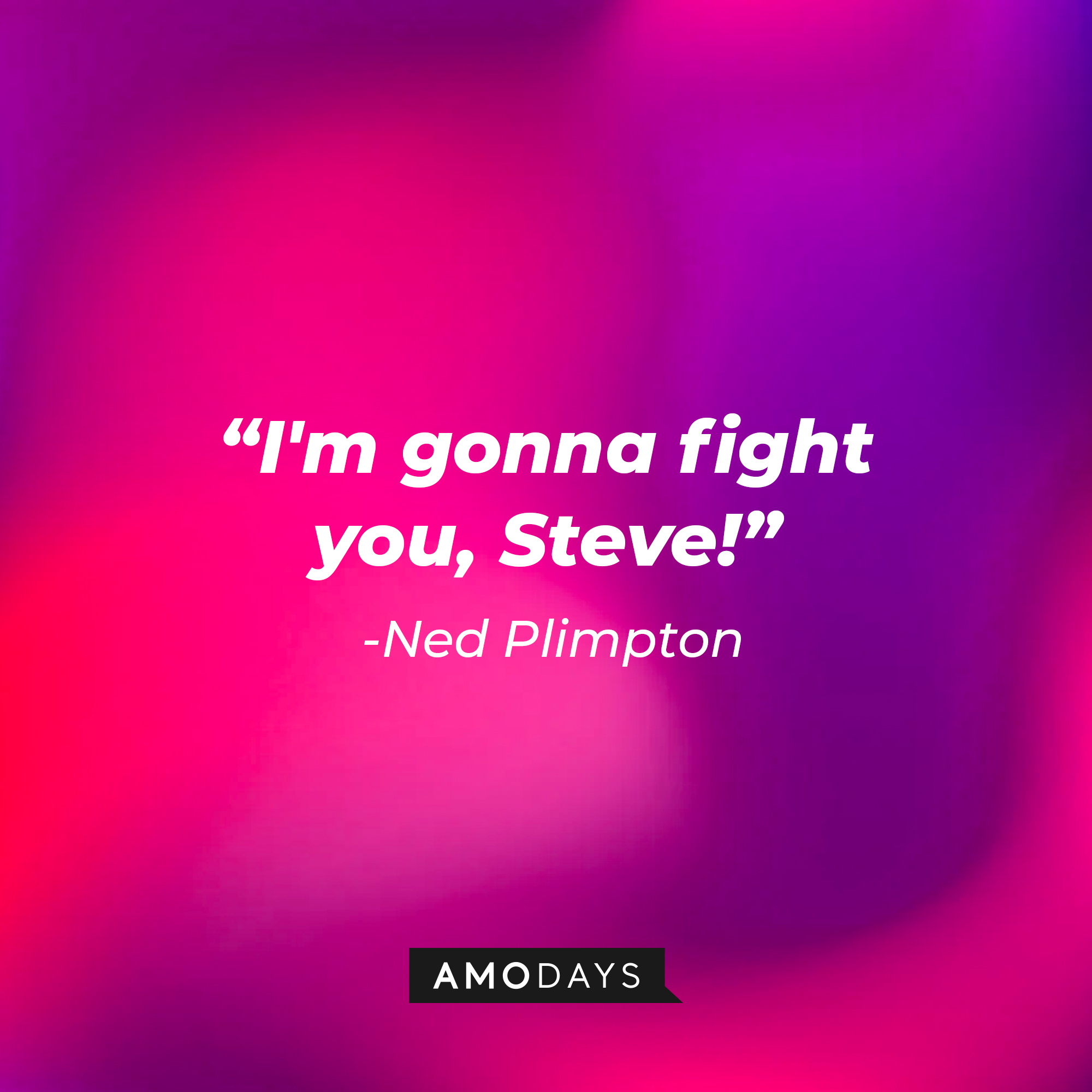 A photo with the quote, "I'm gonna fight you, Steve!" | Source: Amodays