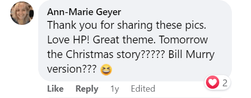 A fan commenting on a post where Tim McGraw's family, Faith Hill, Magie, Gracie, and Audrey McGraw, posing in "Harry Potter" costumes on December 23, 2020 | Source: Facebook/Tim McGraw
