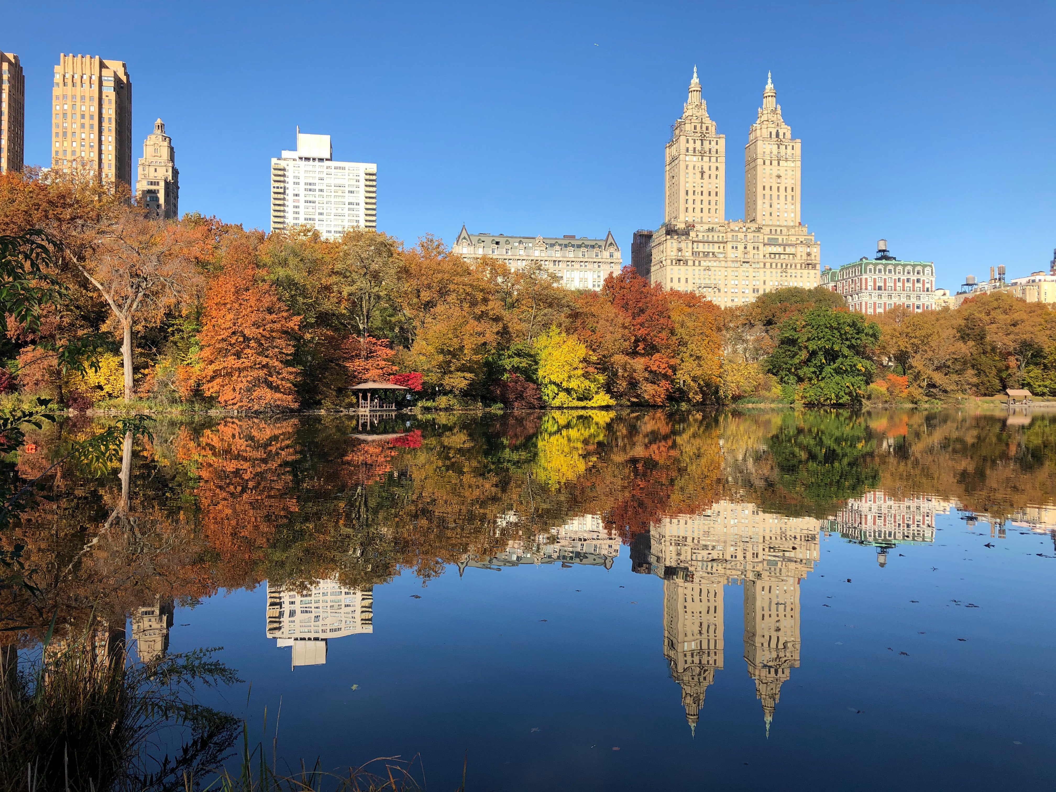 Foto von Central Park, NYC | Quelle: Unsplash / Emily Kessler