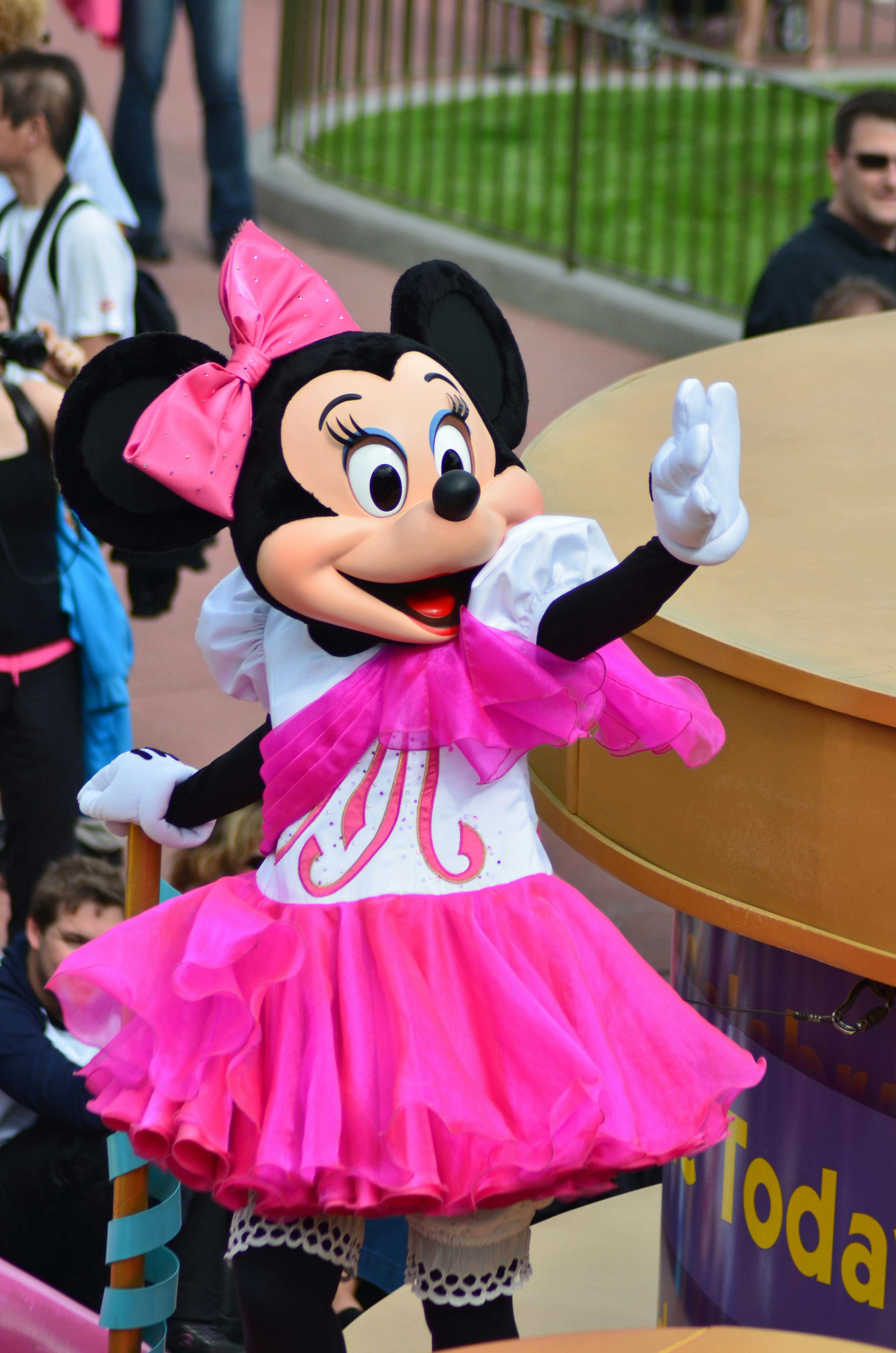 Someone dressed in a Minnie Mouse costume at a theme park | Source: Pexels