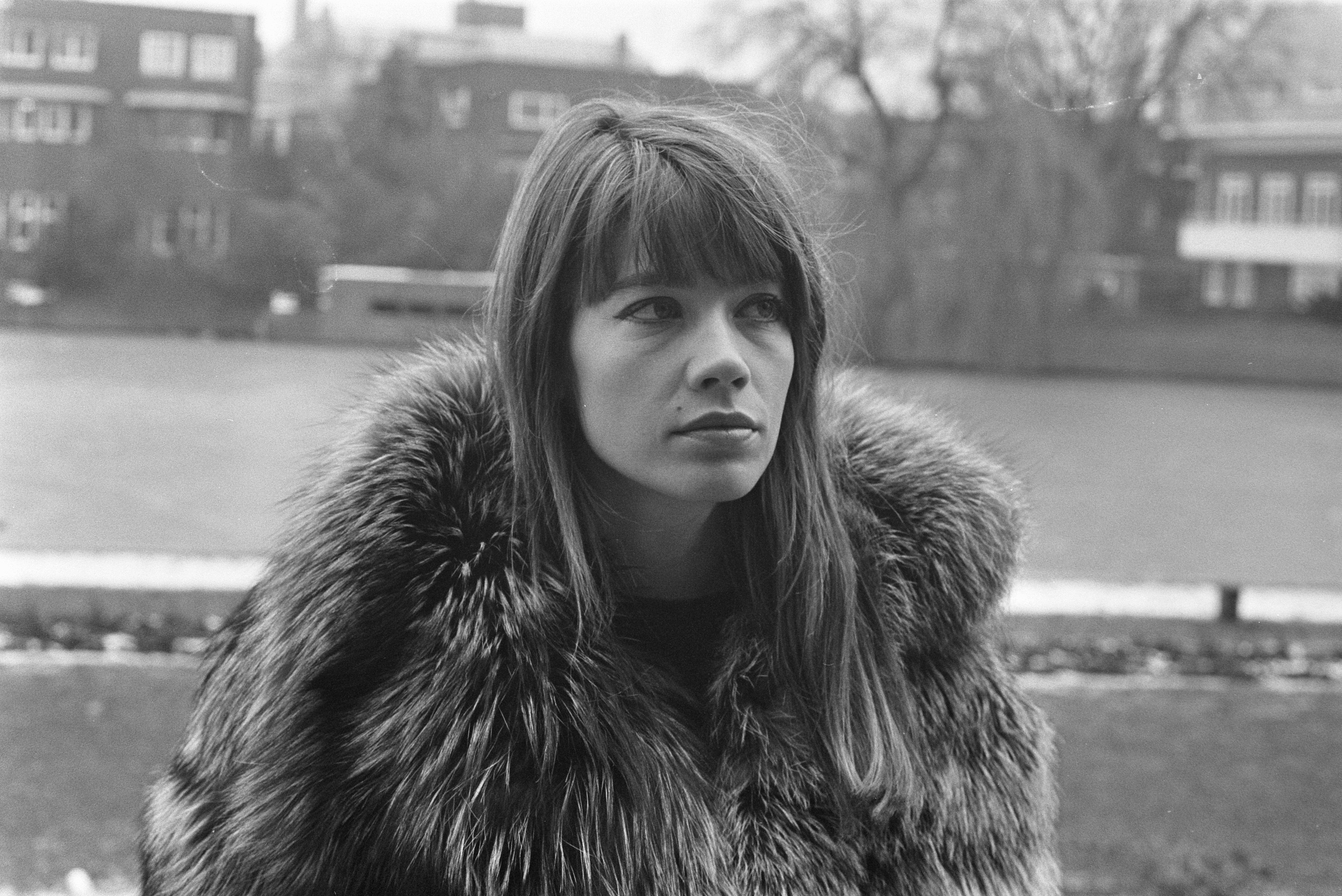 Françoise Hardy le regard perdu | Source : Wikimedia. Françoise Hardy le regard perdu | Source : Wikimedia.