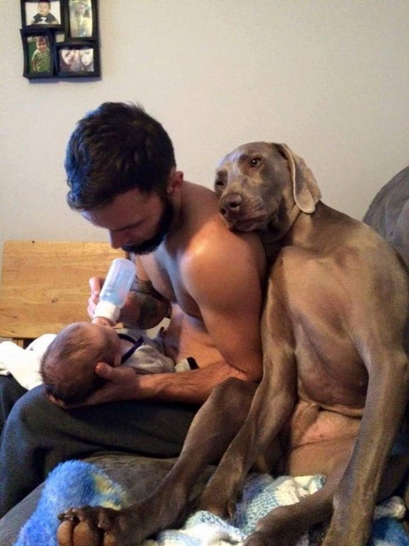 Perro acompañando a su amo / Imagen tomada de: Reddit Perro acompañando a su amo / Imagen tomada de: Reddit