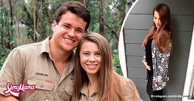 See Pregnant Bindi Irwin with Her Growing Belly on Display in Black ...