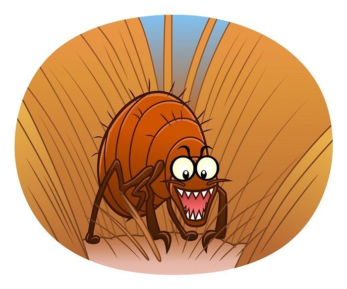 Imagen tomada de: Shutterstock Imagen tomada de: Shutterstock