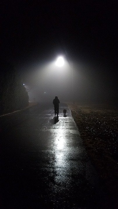 Hombre caminando por la noche sobre el pavimento húmedo junto a un perro. | Imagen: Pixabay Hombre caminando por la noche sobre el pavimento húmedo junto a un perro. | Imagen: Pixabay