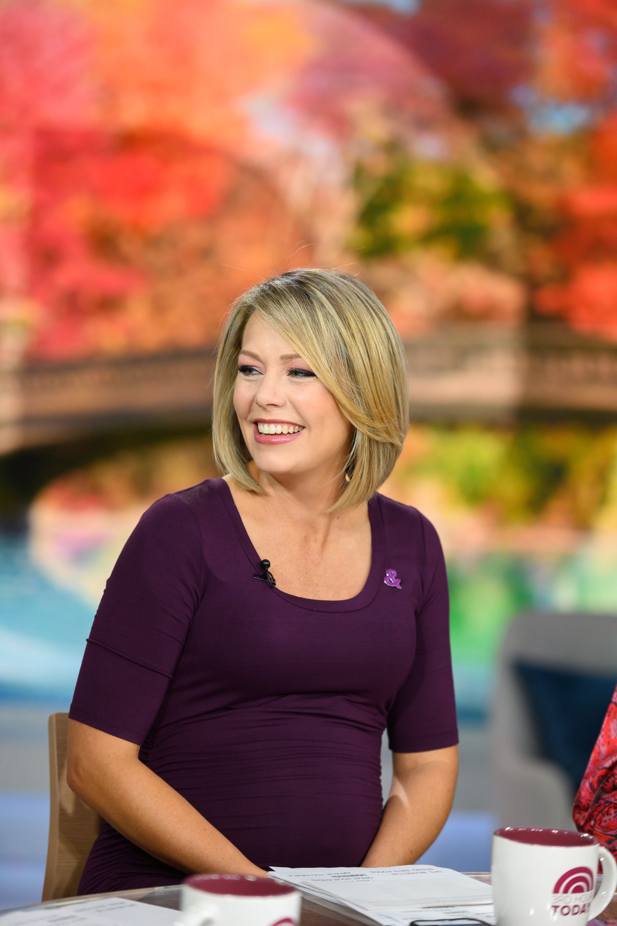 Dylan Dreyer appears on season 68 of "The Today Show" on Thursday, October 17, 2019 | Photo: Getty Images