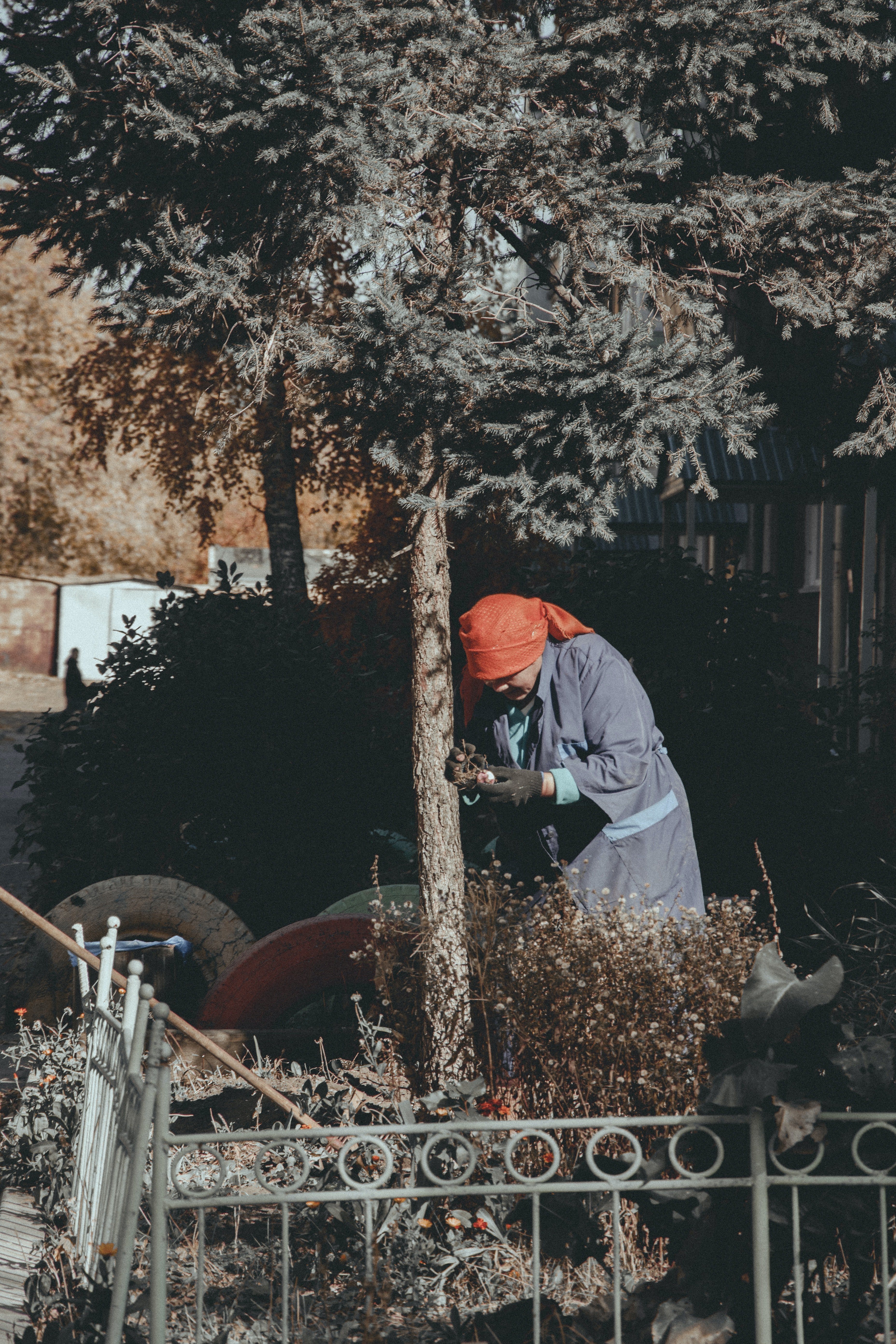 Una anciana caminando en un jardín. | Foto: Pexels
