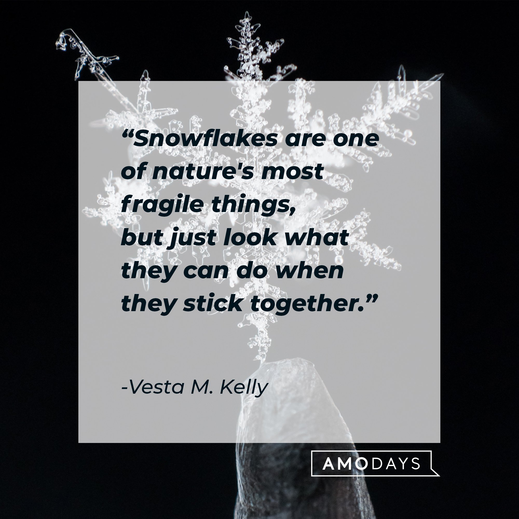 Vesta M. Kelly’s quote: "Snowflakes are one of nature's most fragile things, but just look what they can do when they stick together." | Image: AmoDays