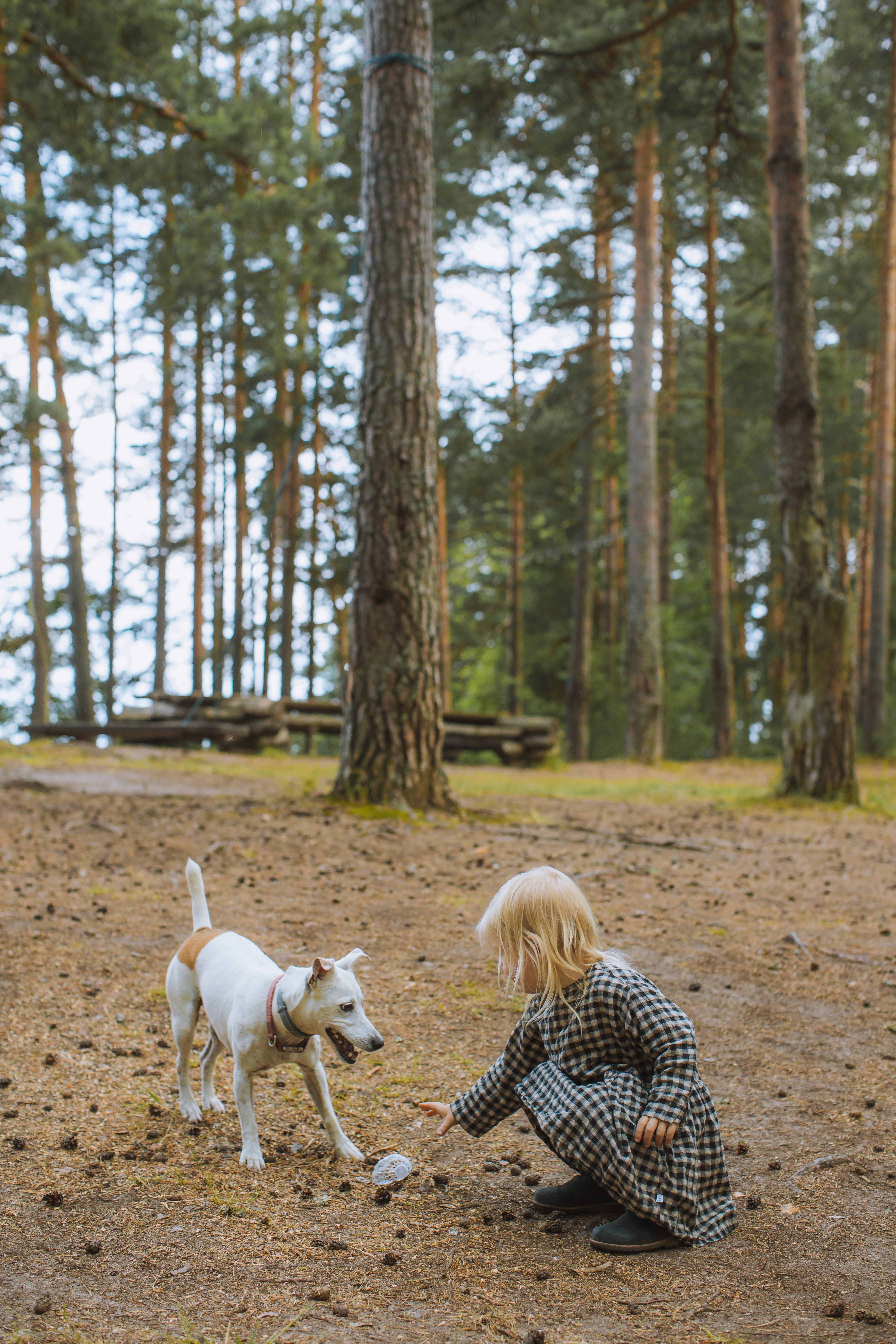 Una niña juega con su perro en un parque. | Foto: Pexels