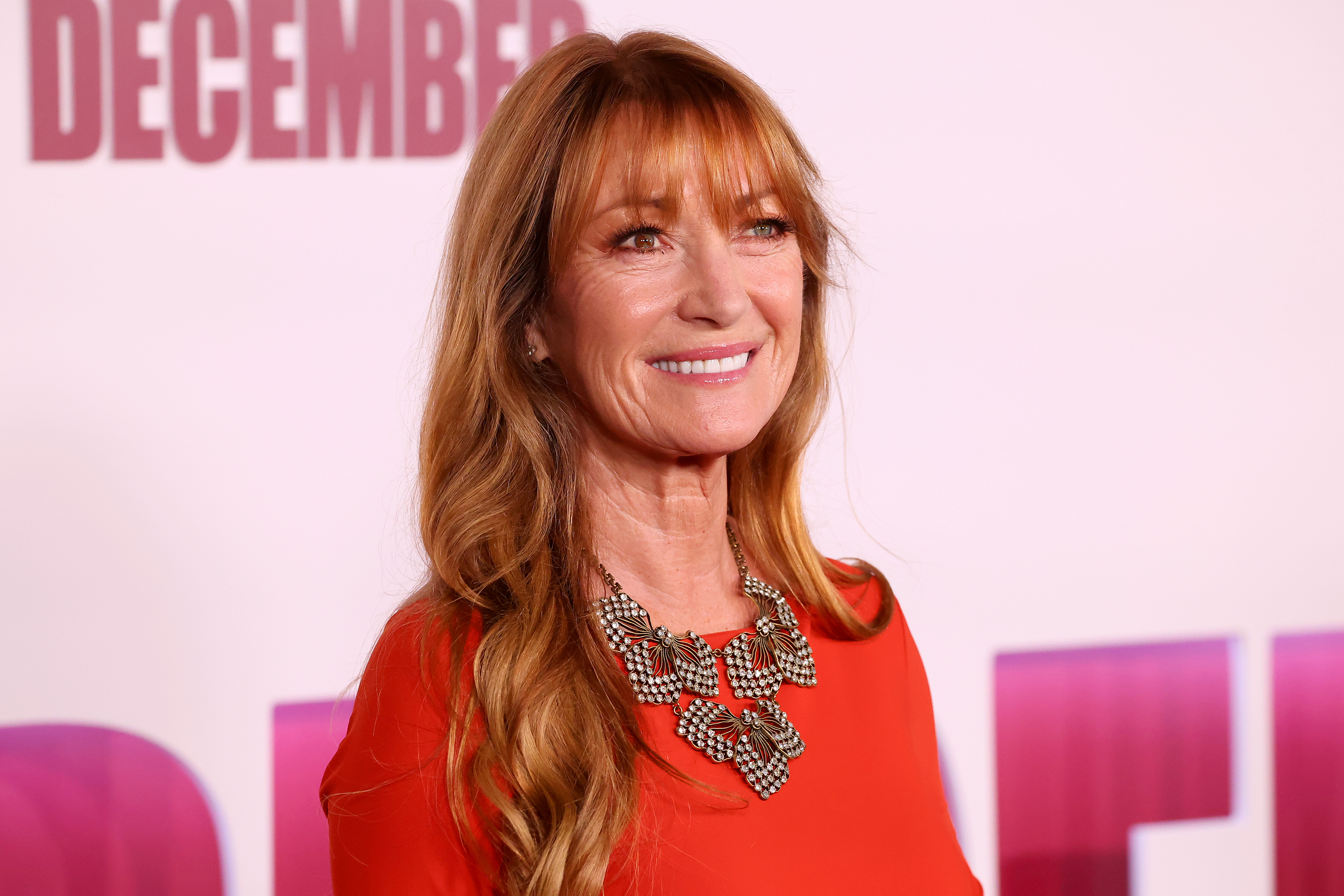 Jane Seymour at the premiere of "May December" in Los Angeles, California on November 16, 2023 | Source: Getty Images