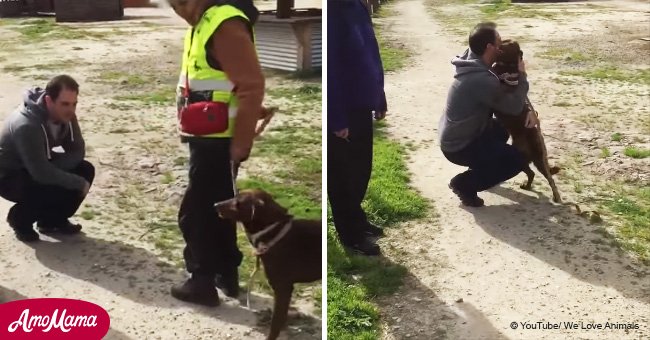 Lost and alone for two years, a depressed dog reunites with her owner