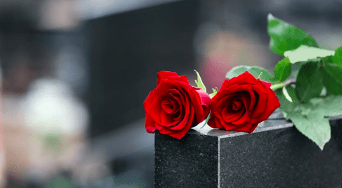 Rote Rosen auf einem Grab während einer Beerdigung. | Quelle: Shutterstock