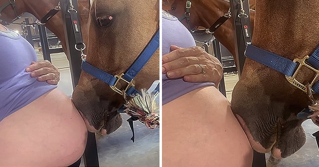 A brown horse is seen "kissing" its pregnant owner's belly and appears to be memorised by it | Photo: Youtube/Megan Vaughan 