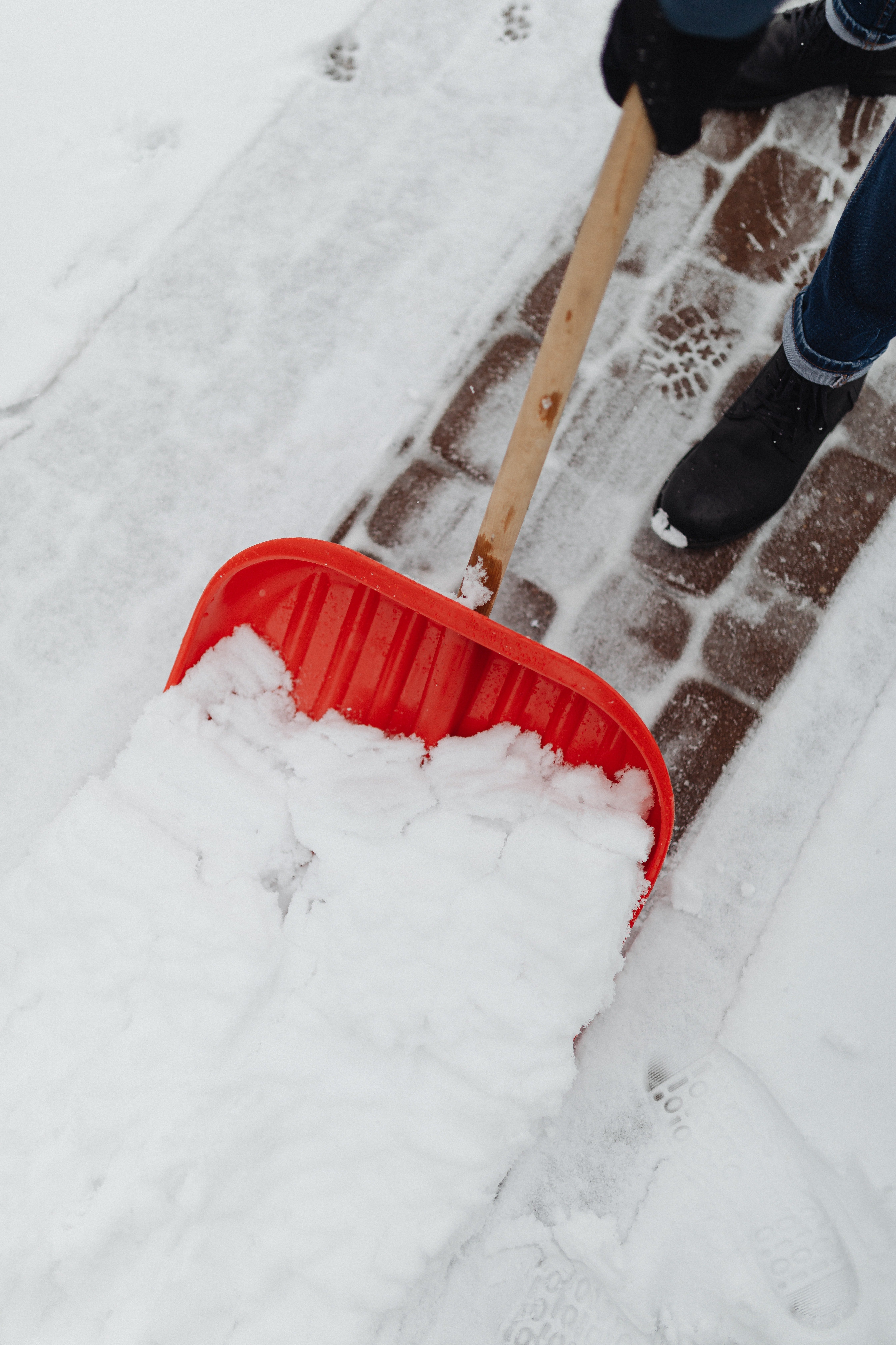 Lucas offered to shovel the snow while Lawrence pushed the cart. | Source: Pexels