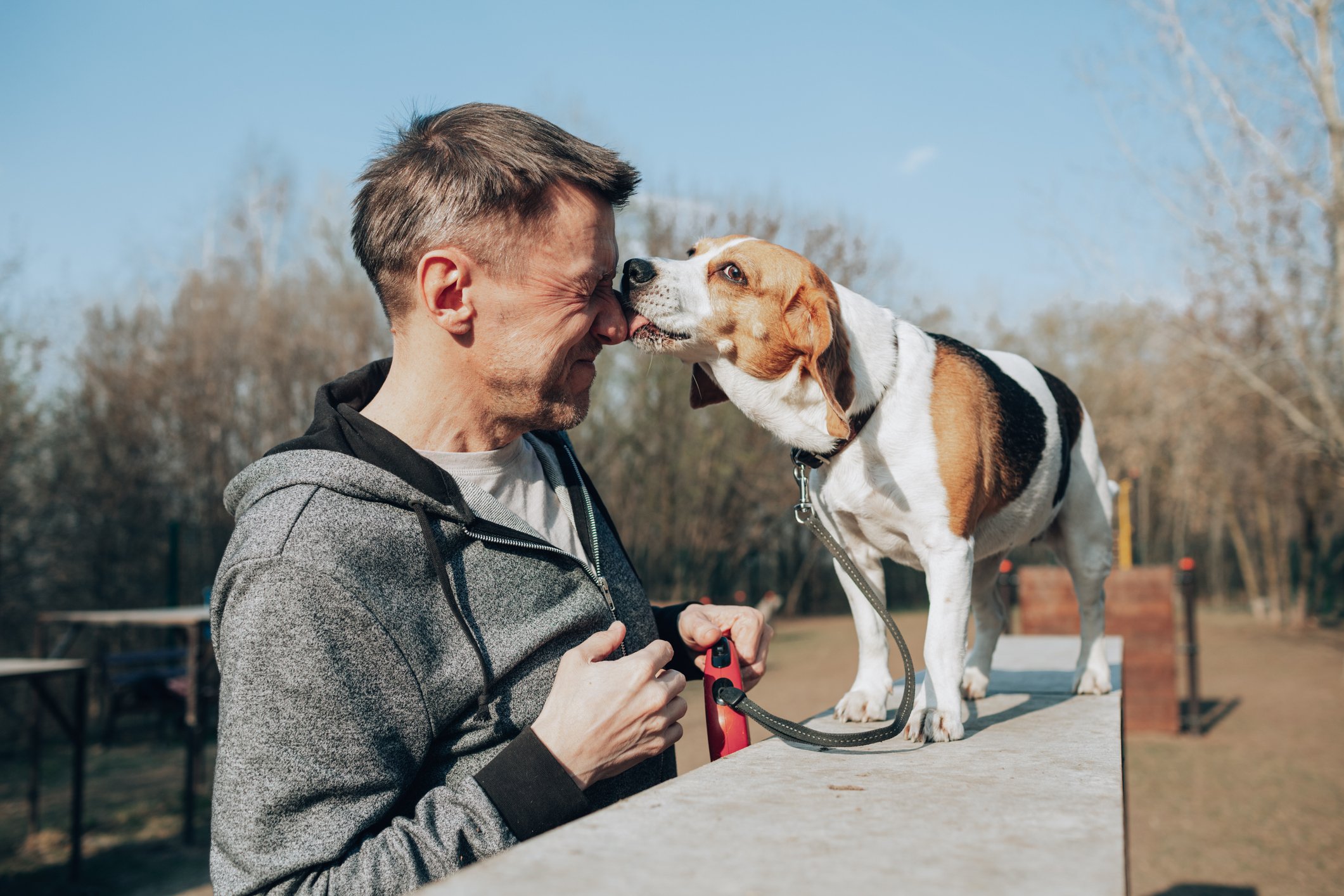 Mann und Beagle | Quelle: Getty Images