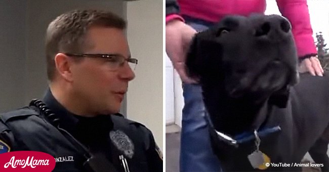 Dog leads policeman all the way to its house to help owner