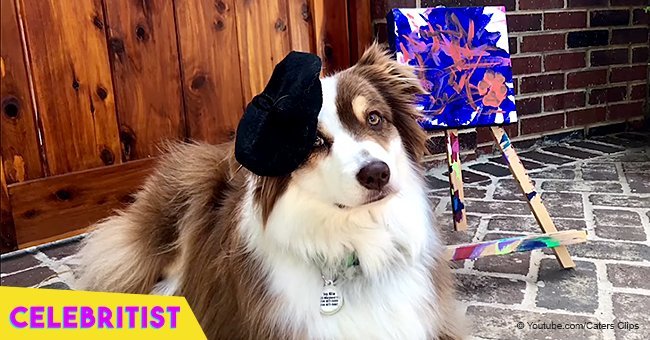 Talented dog, Ivy, shows off her painting skills in adorable video