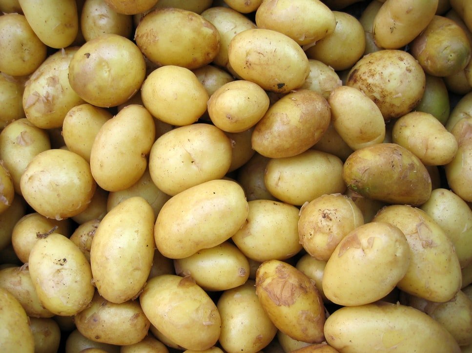 Des pommes de terre. l Source : Unsplash
