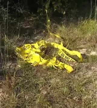 Sonia Exelby's burial site from a post dated November 20, 2025. | Source: Facebook/Exposed uk News