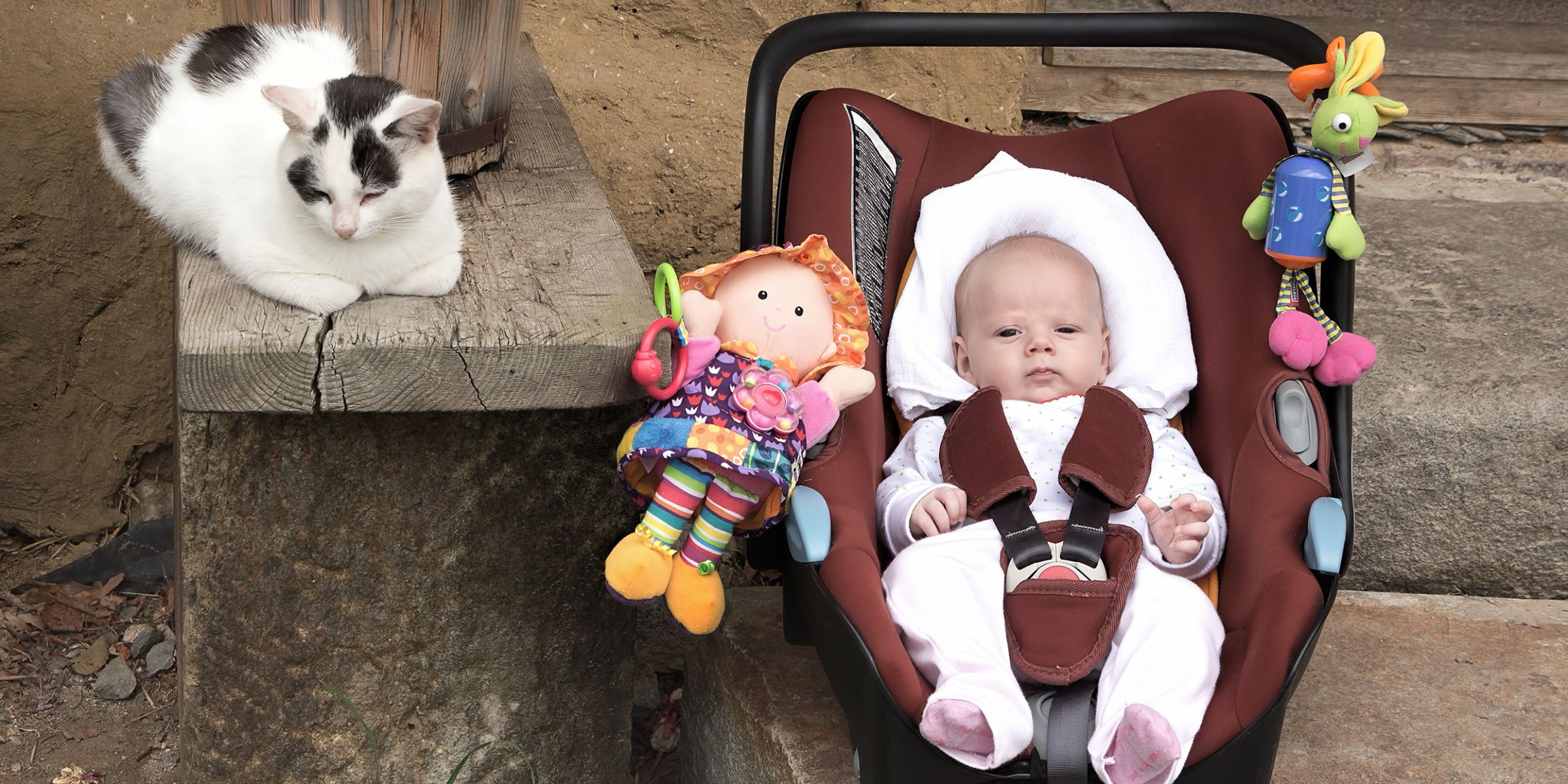 An infant in a baby car seat on a doorstep of a house | Source: Shutterstock