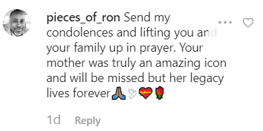 A fans' comment from Suzanne Kay's post | Instagram/suzannekay9