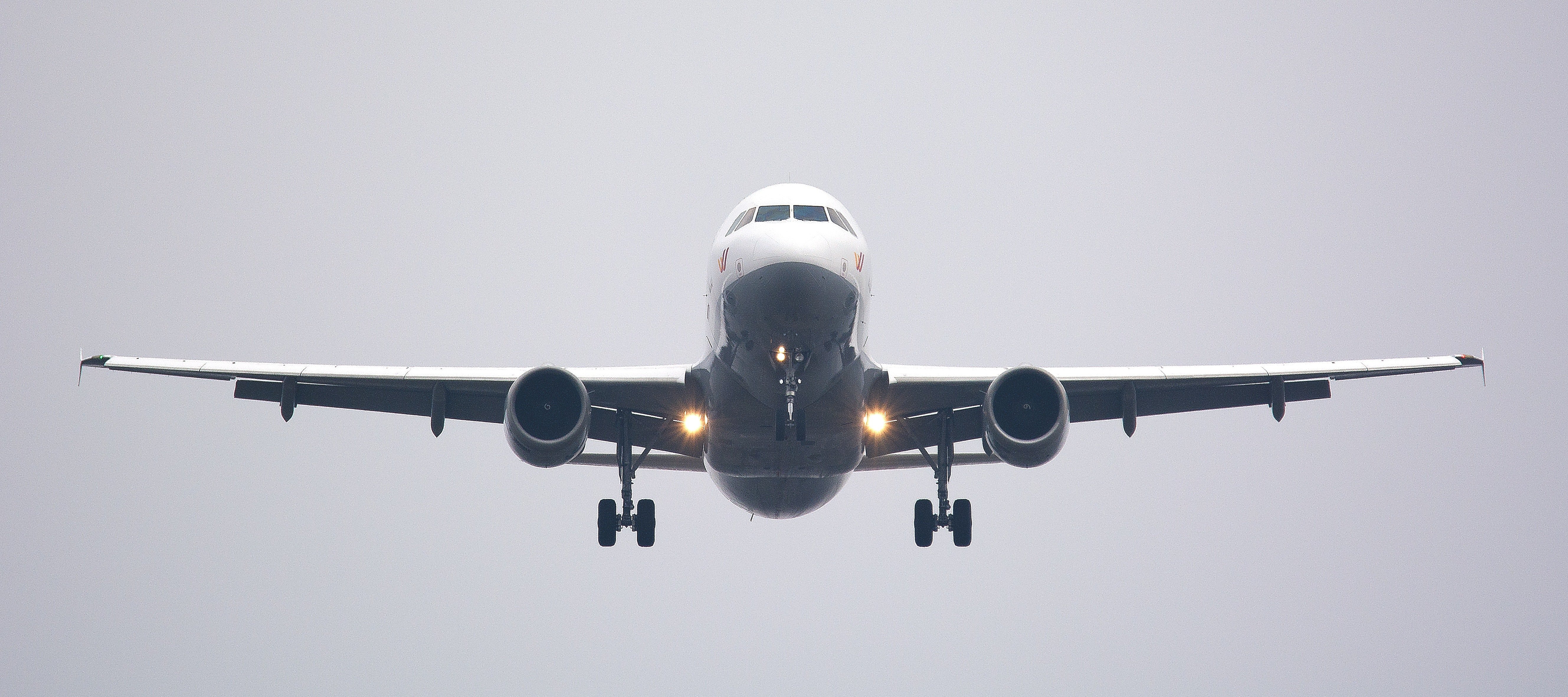 Donna and Maria flew over to see Ruth | Source: Pexels