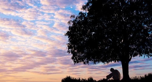 Un hombre infeliz sentado bajo un gran árbol. | Fuente: Shutterstock
