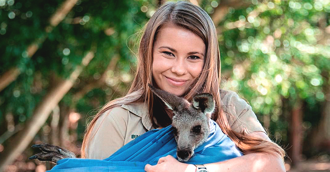 instagram.com/bindisueirwin