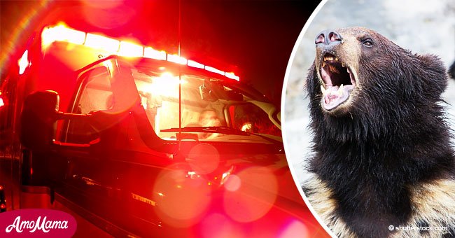 Bear attacks 71-year-old wheelchair-bound woman inside her home