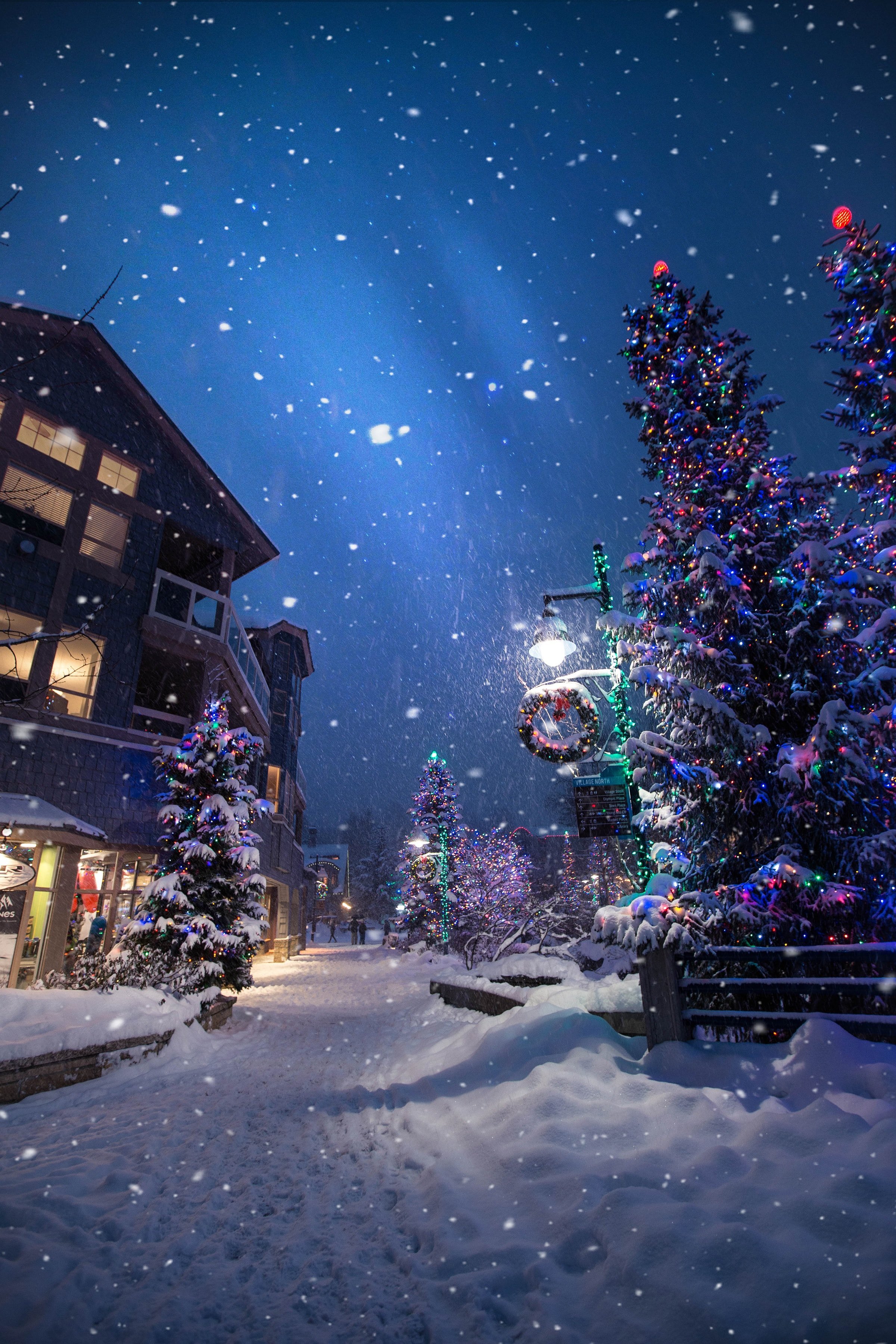 A snowy Christmas street | Source: Unsplash.com