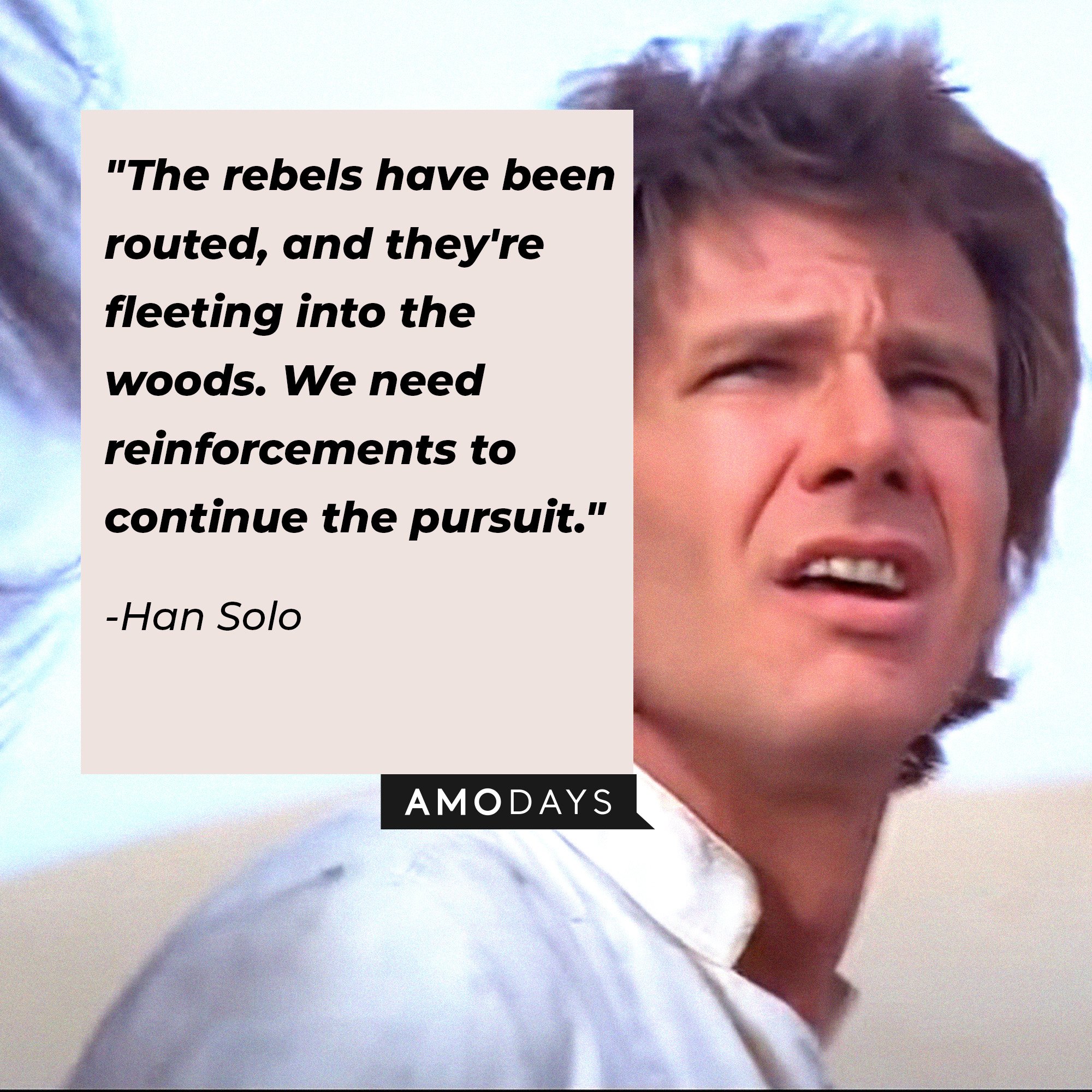 Han Solo’s quote: "The rebels have been routed, and they're fleeting into the woods. We need reinforcements to continue the pursuit." | Image: AmoDays