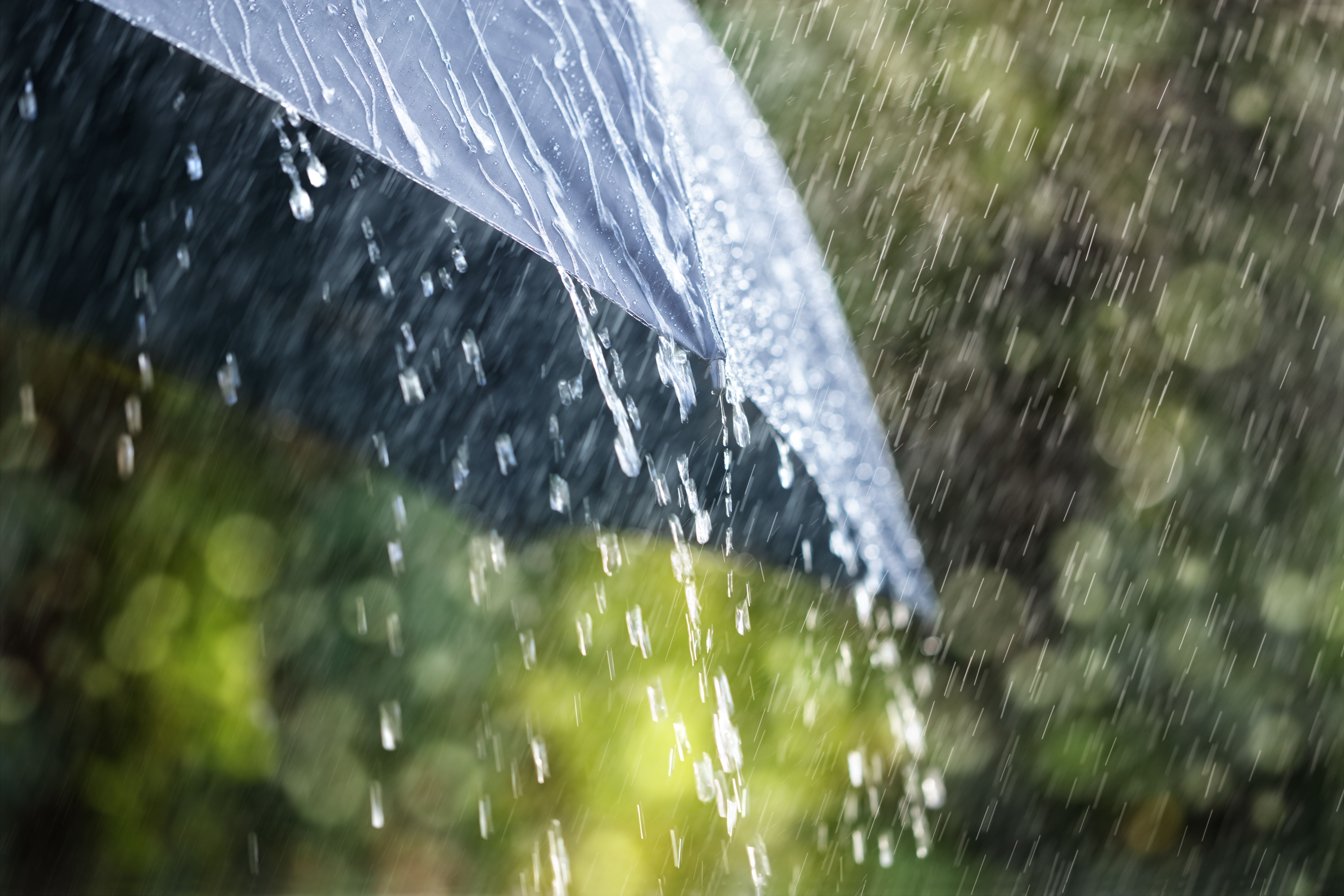 Un parapluie au milieu d'une forte pluie. | Photo : Shutterstock