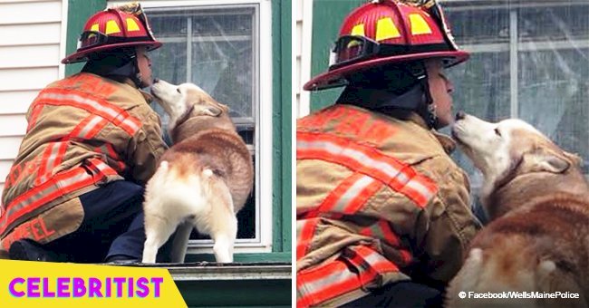 Adorable video of dog kissing firefighter who rescued him from roof goes viral