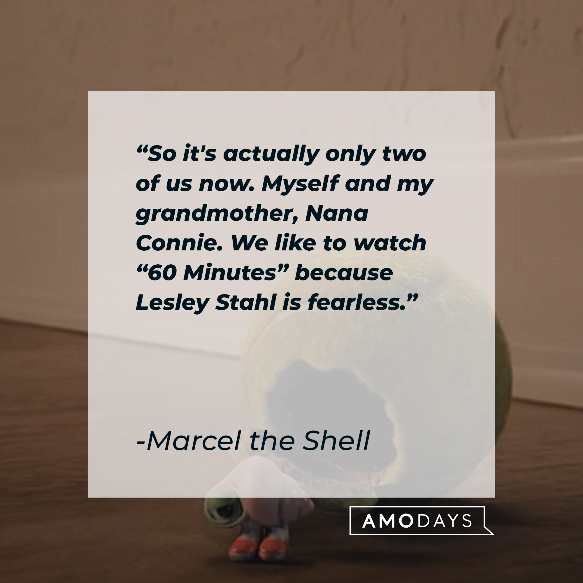 Marcel the Shell's quote: “So it's actually only two of us now. Myself and my grandmother, Nana Connie. We like to watch "60 Minutes" because Lesley Stahl is fearless.” | Source: youtube.com/A24
