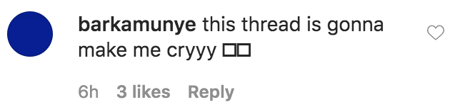 A fan commented on photos from Royalty Brown’s sixth birthday celebration with her parents Chris Brown and Nia Guzman | Source: Instagram.com/missroyaltybrown