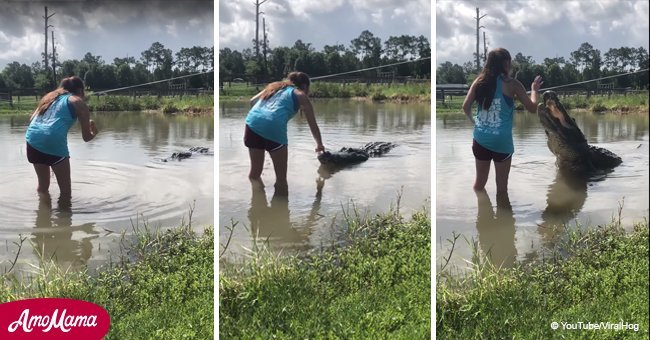 Woman fearlessly feeds 14-foot alligator
