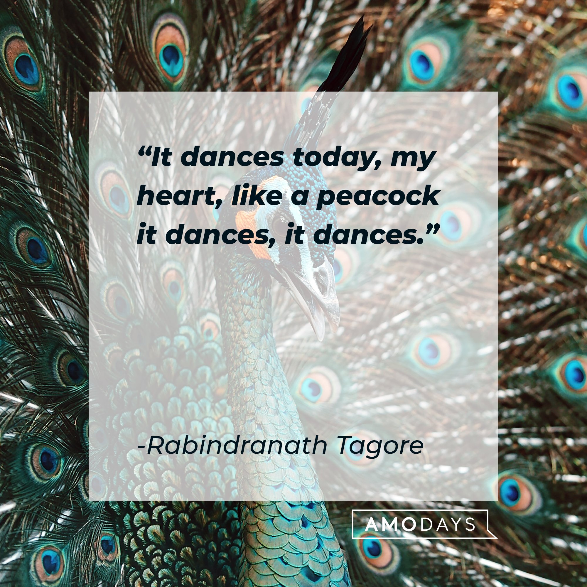 Rabindranath Tagore’s "It dances today, my heart, like a peacock it dances, it dances." | Image: AmoDays