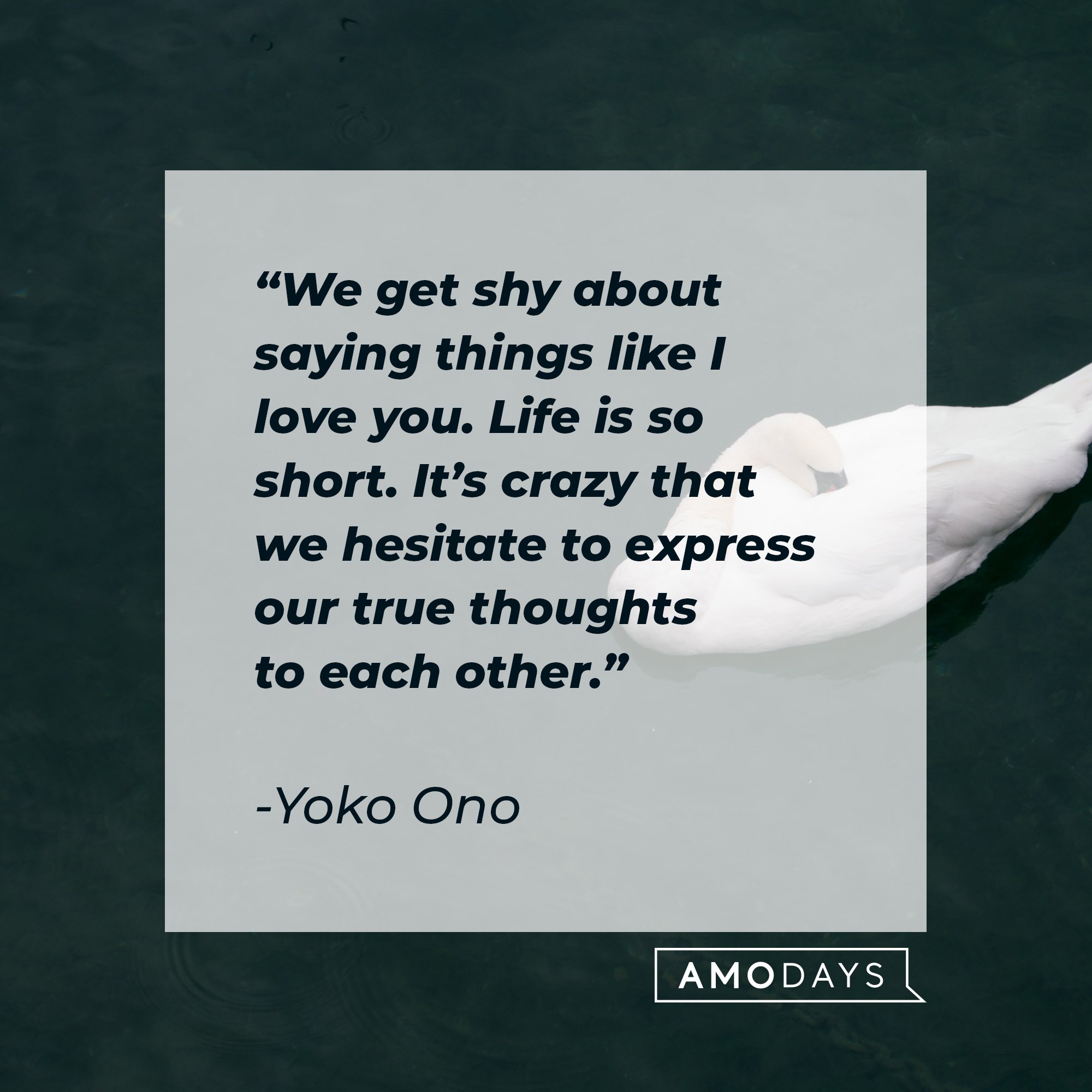 Yoko Ono's quote: “We get shy about saying things like I love you. Life is so short. It’s crazy that we hesitate to express our true thoughts to each other.” | Image: AmoDays