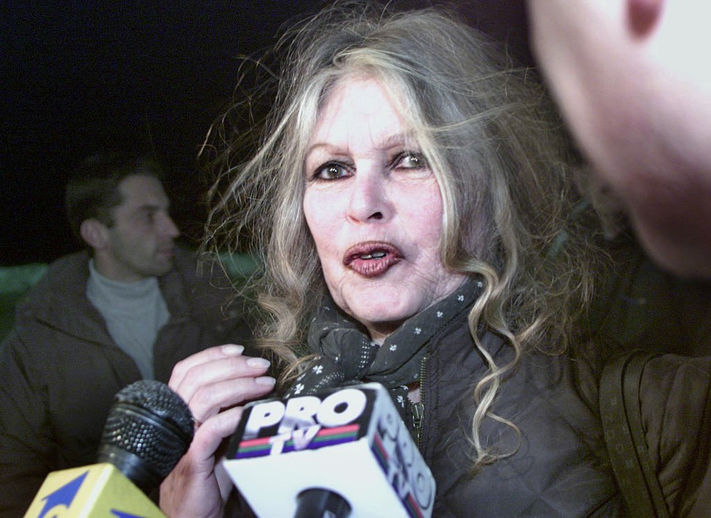 Bridgitte Bardot se rend en Roumanie pour sauver les chiens de la rue | Photo : Getty Images.