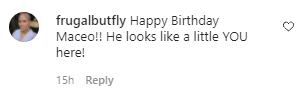 Kommentar eines Fans zu Halle Berrys Geburtstags-Beitrag für ihren Sohn. | Quelle: Instagram/Halleberry