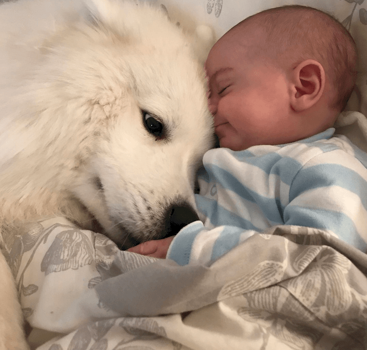 Image credit: Imgur/funky1994 Image credit: Imgur/funky1994