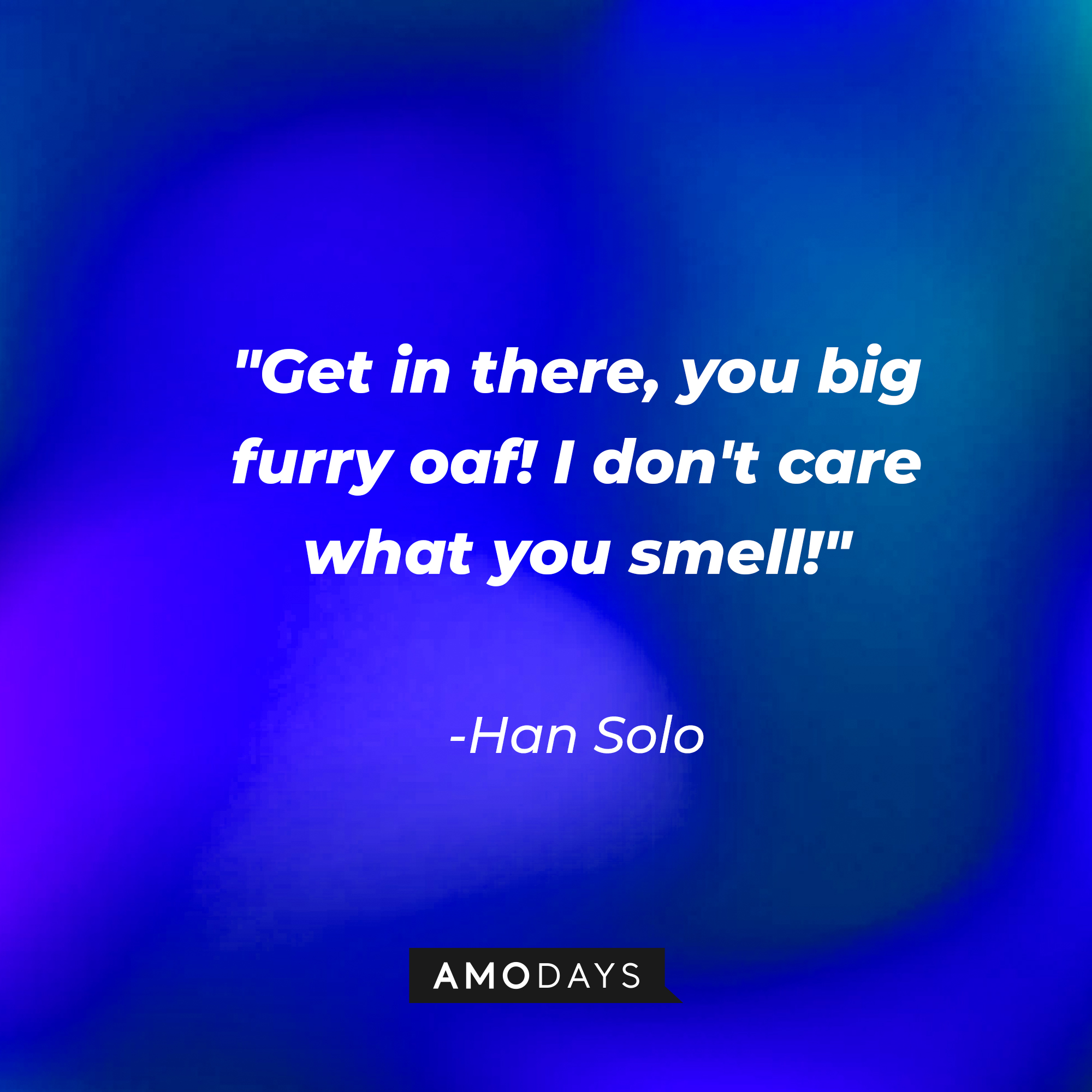 Hans Solo's quote: "Get in there, you big furry oaf! I don't care what you smell!" | Source: AmoDays