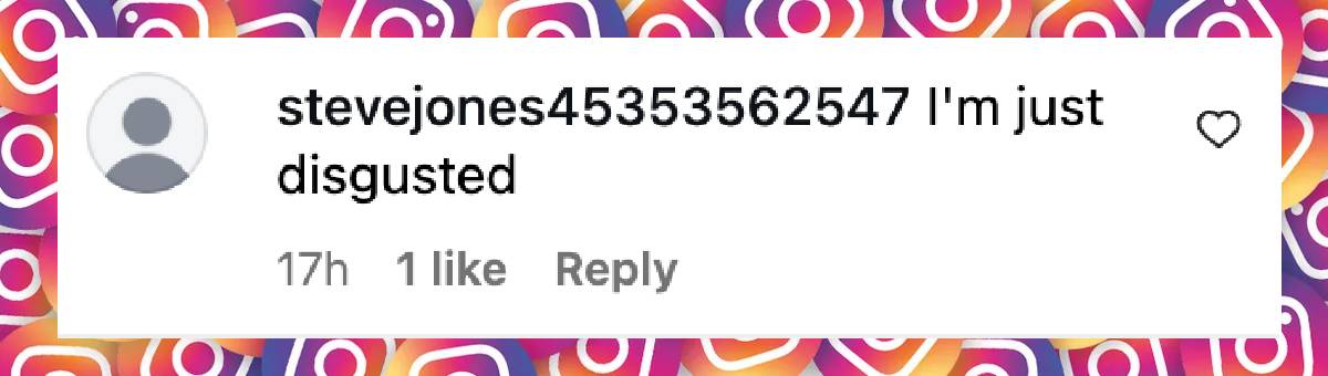 A netizen's comment on Ashley Biden's now-deleted Instagram Story, dated August 14, 2025 | Source: Instagram/dailymail
