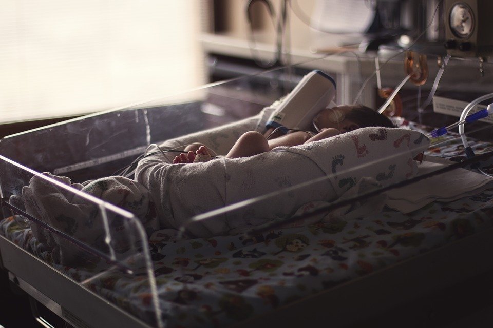 Bebé incubadora| Foto: Pixabay