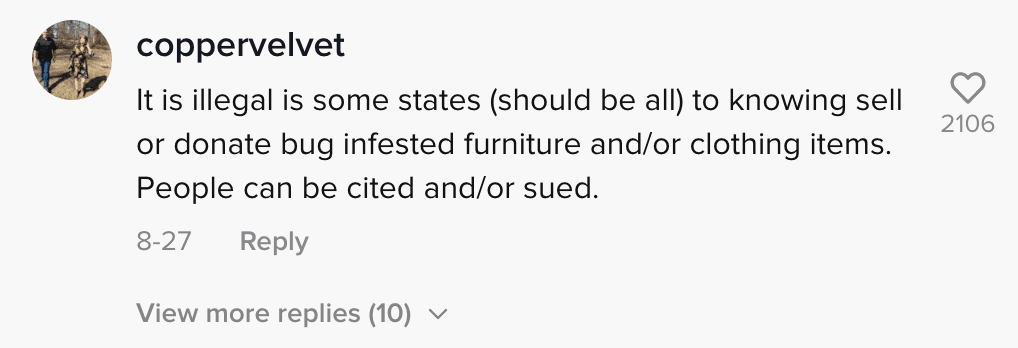 Commenters react to footage of infested furniture and call out the person responsible | Photo: TikTok/exterminatorking